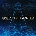 Everything I Wanted