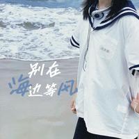 庄东茹(豆芽鱼) - 别在海边等风(纯伴奏)