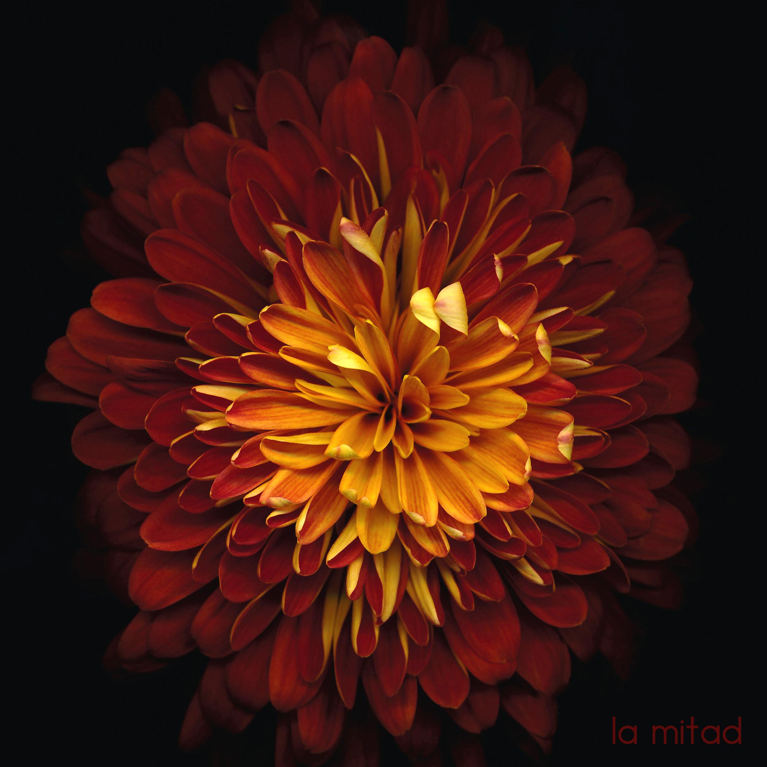 La Mitad