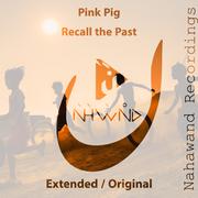 Recall the Past (Extended Mix)