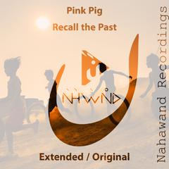 Recall the Past (Original Mix)