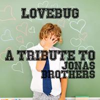 Inseperable - Jonas Brothers (karaoke)
