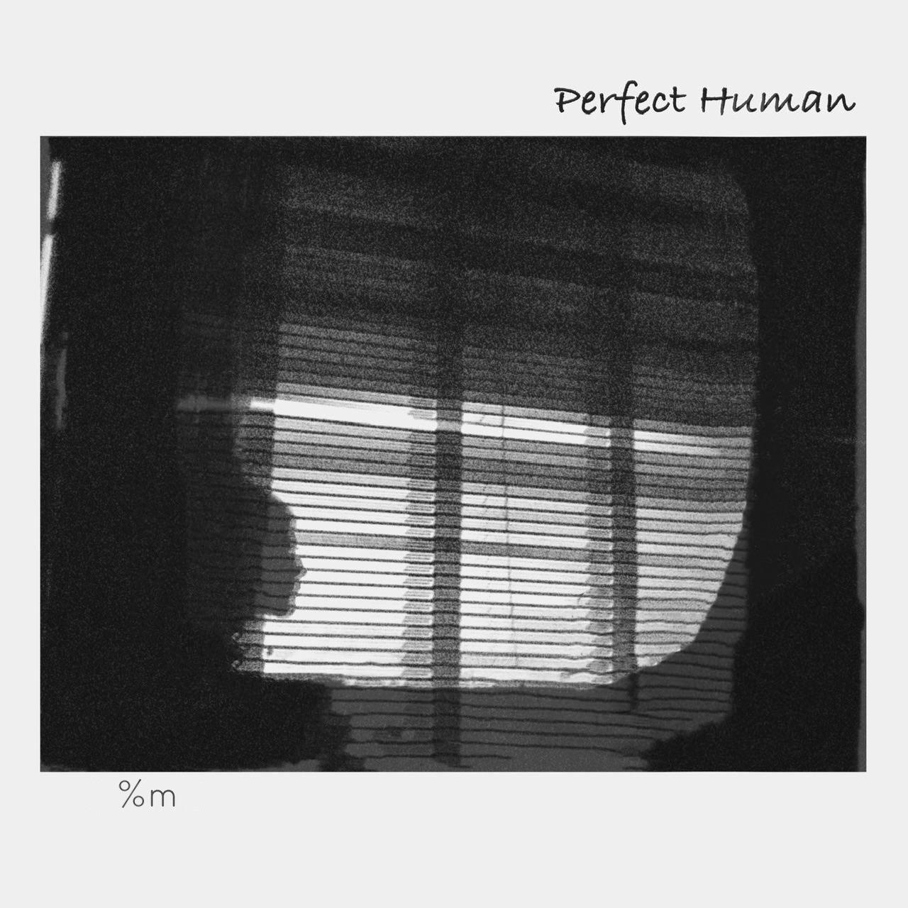 Perfect Human专辑