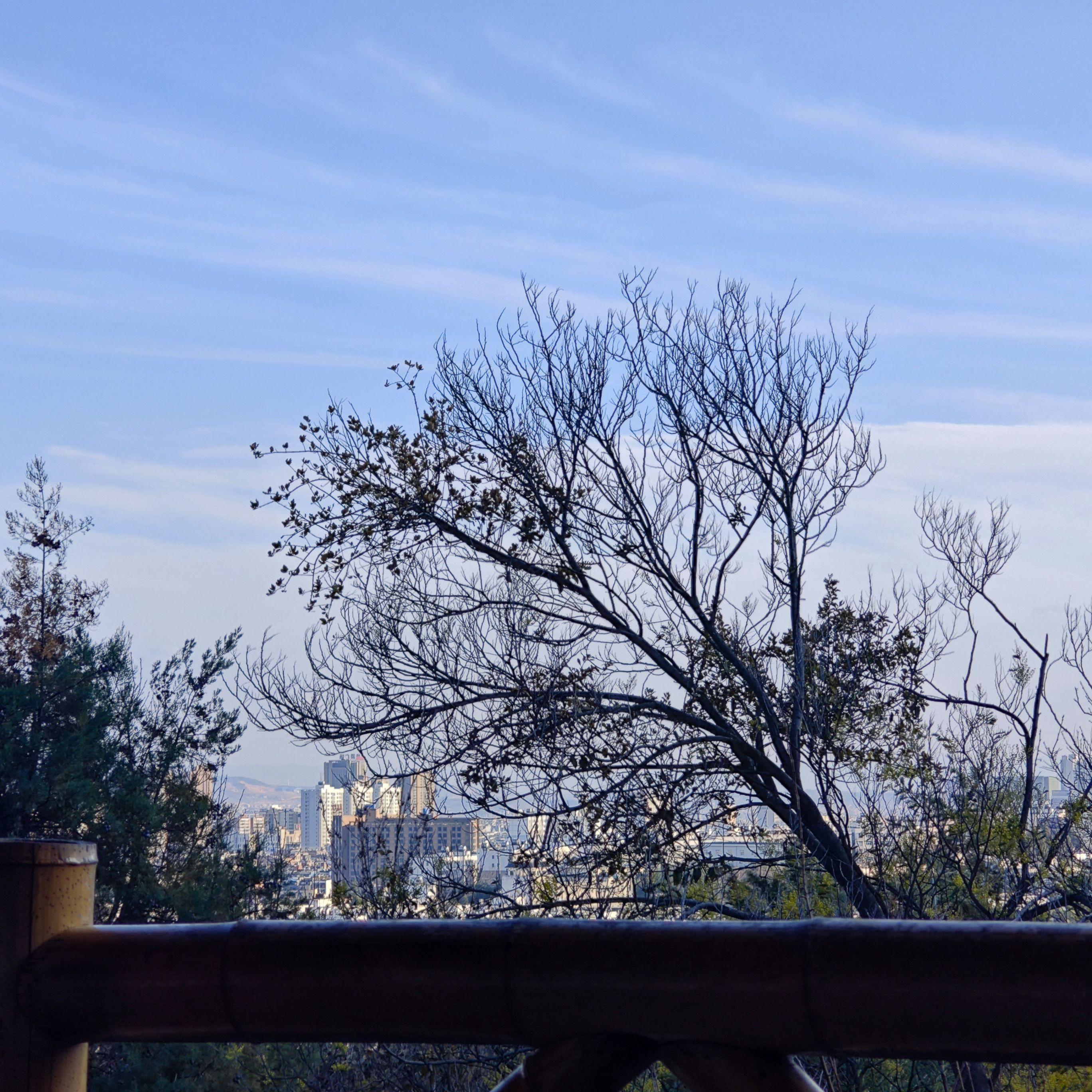晚