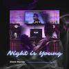 Zeek - Night is Young (Remix)