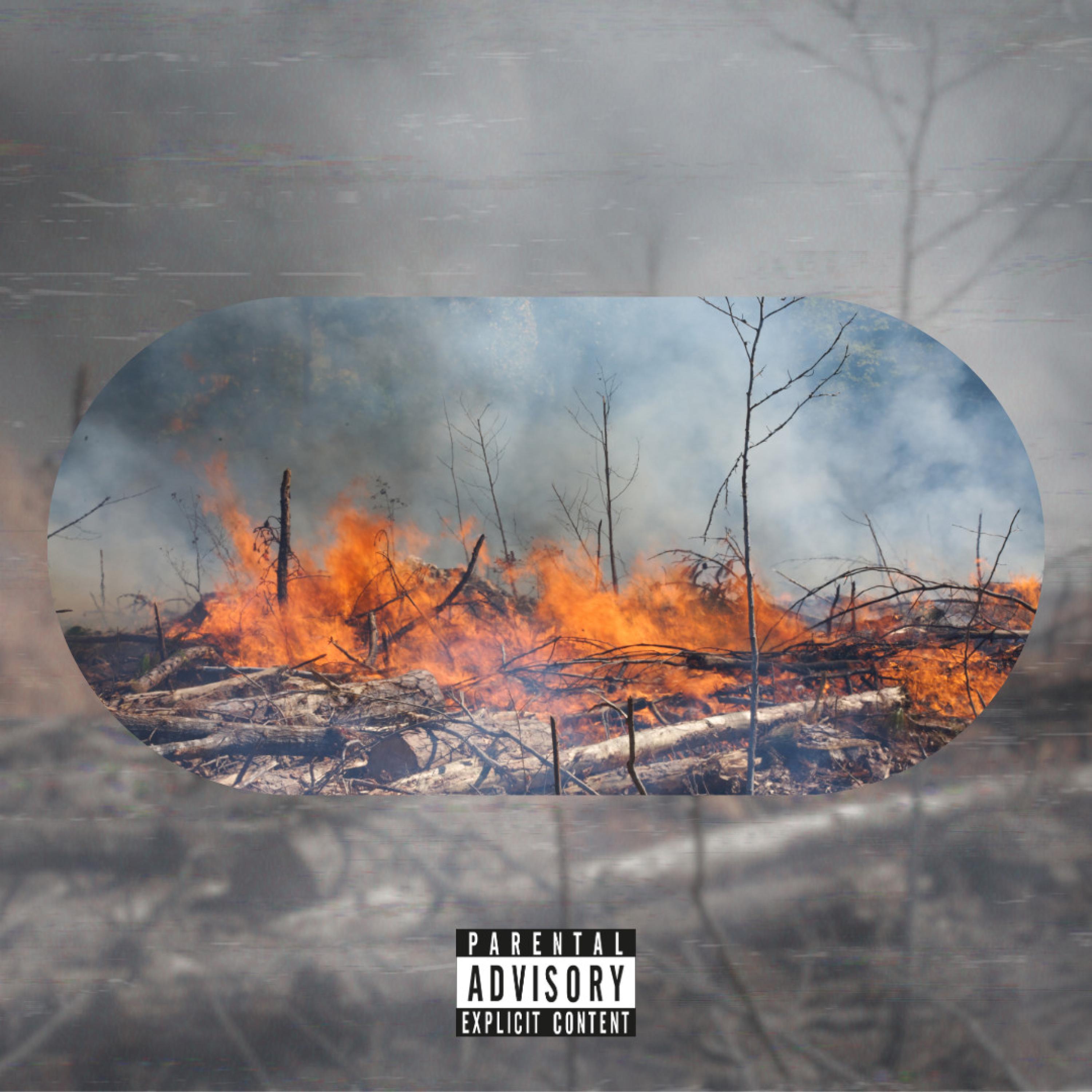 Deforestacja
