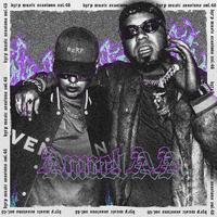 Anuel AA & Bizarrap - Anuel AA Bzrp Music Sessions, Vol. 46 (BB Instrumental) 无和声伴奏