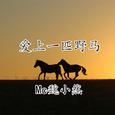 爱上一匹野马