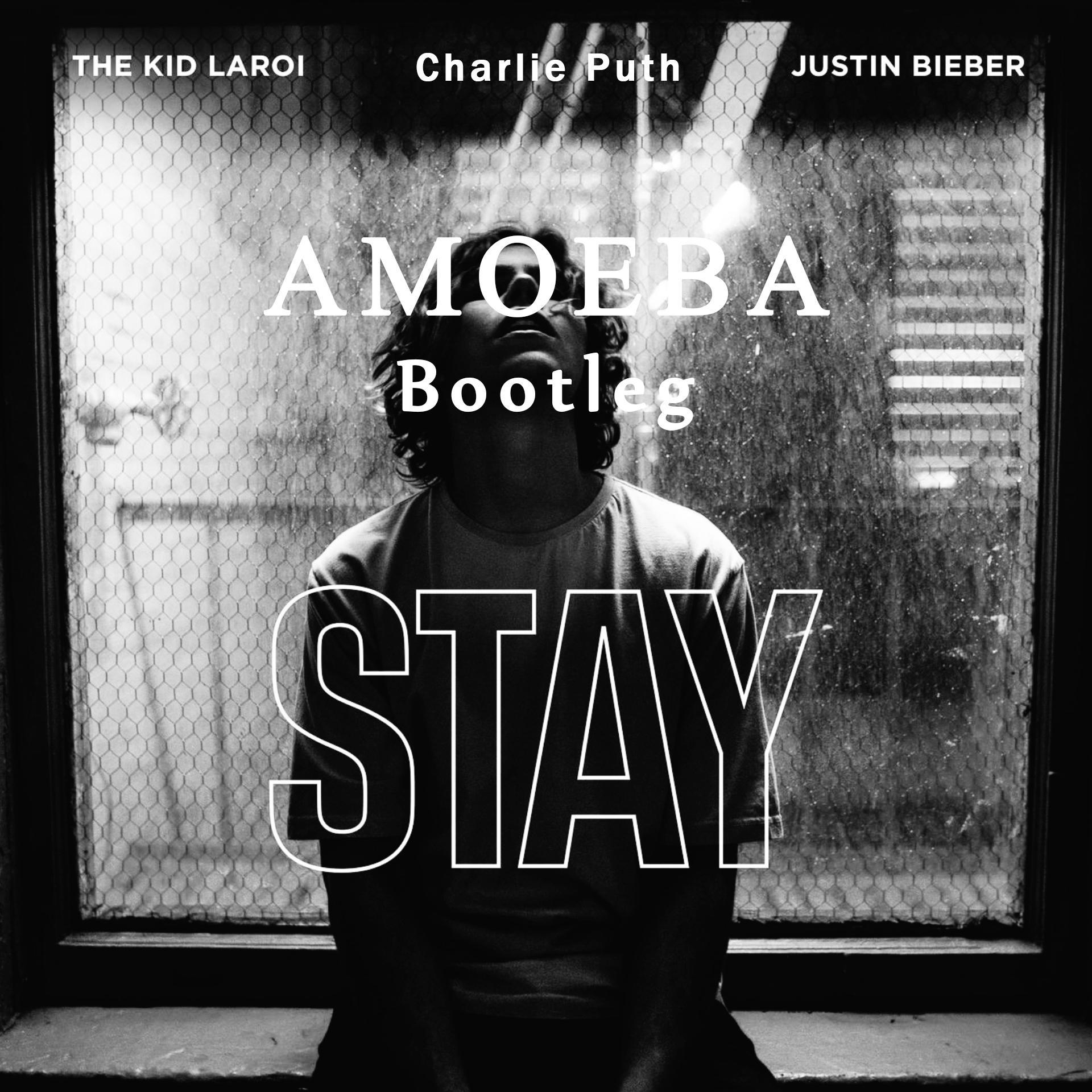 justin bieber-stay(amoeba remix)