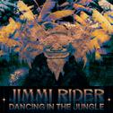 Dancing In The Jungle专辑