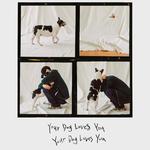 Your Dog Loves You专辑