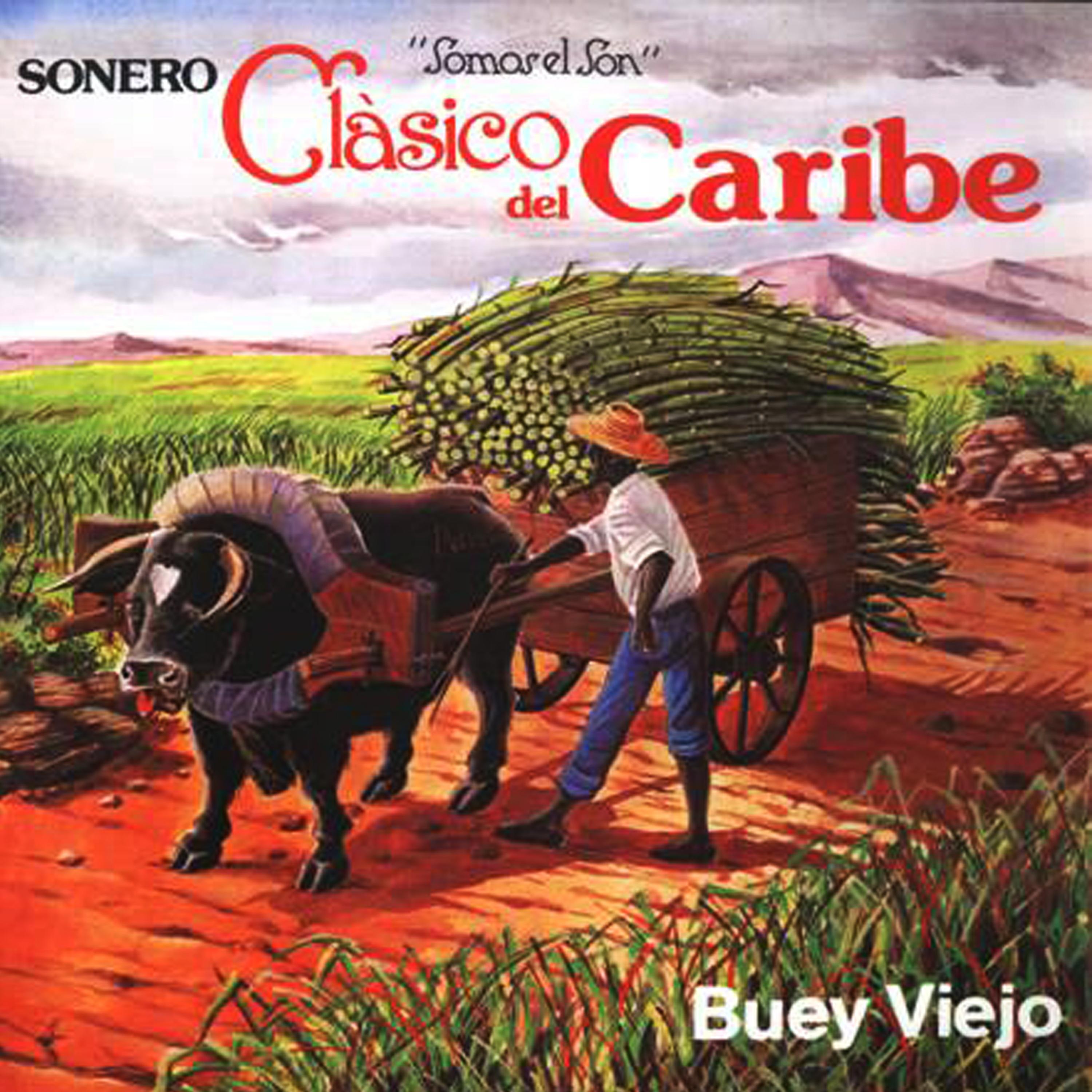 Buey Viejo