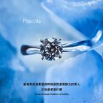 Priscilla专辑