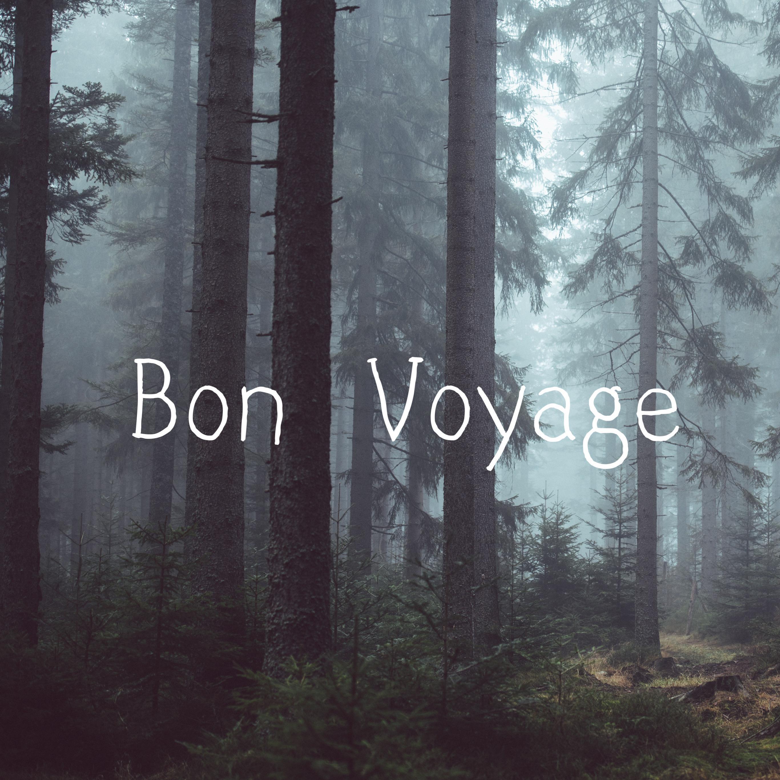 BON VOYAGE