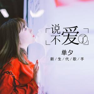 单夕 - 怪我(原版立体声伴奏) （降5半音）