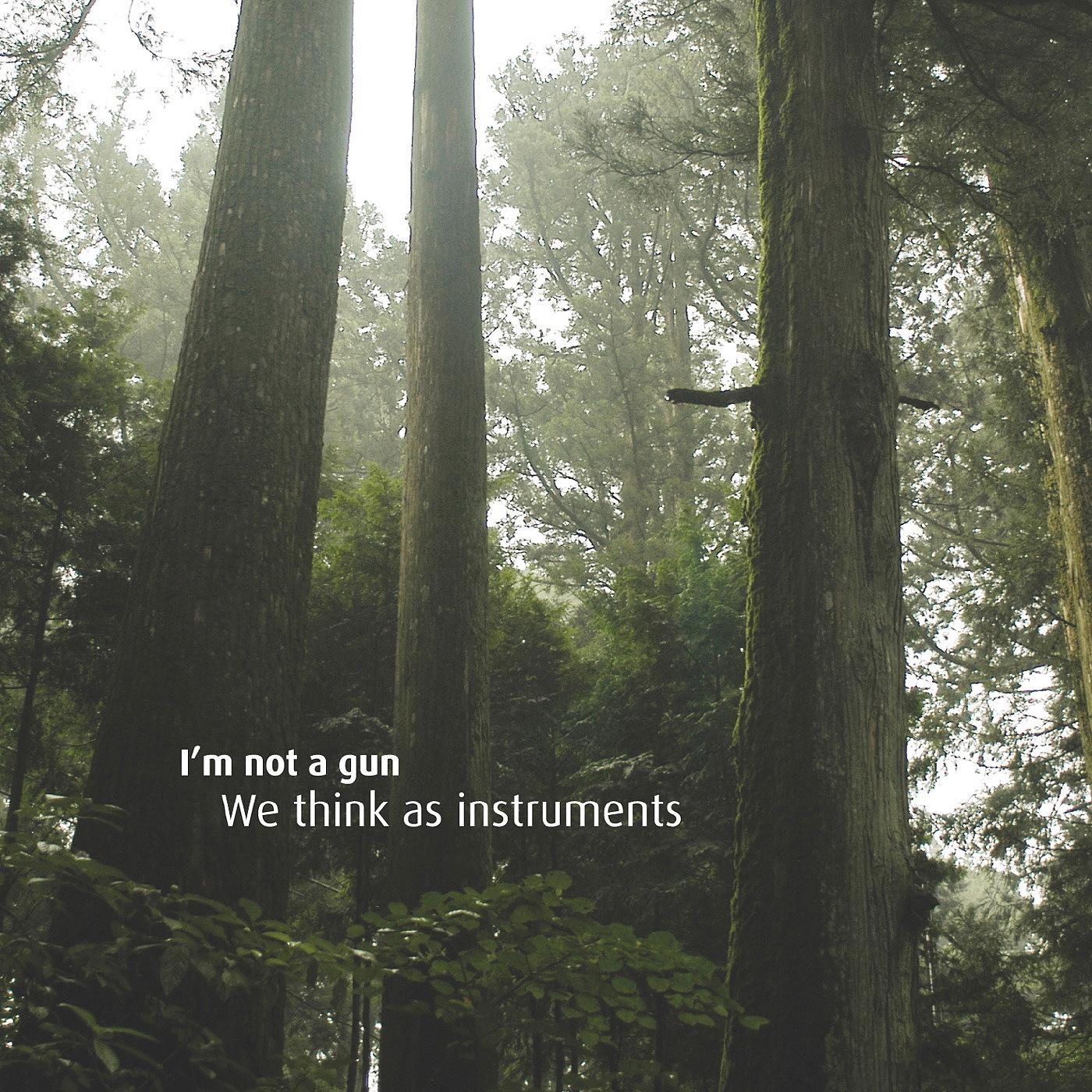 We Think As Instruments