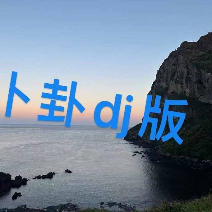 卜卦dj版