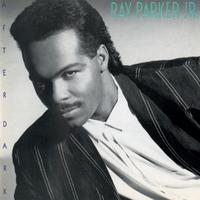 Ray Parker Jr - The Past (HT Instrumental) 无和声伴奏