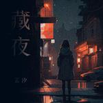 藏夜专辑