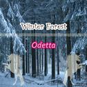 Winter Forest