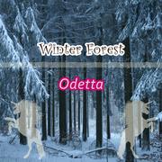 Winter Forest专辑