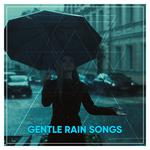 #20 Gentle Rain Songs for Peaceful Night Sleep专辑