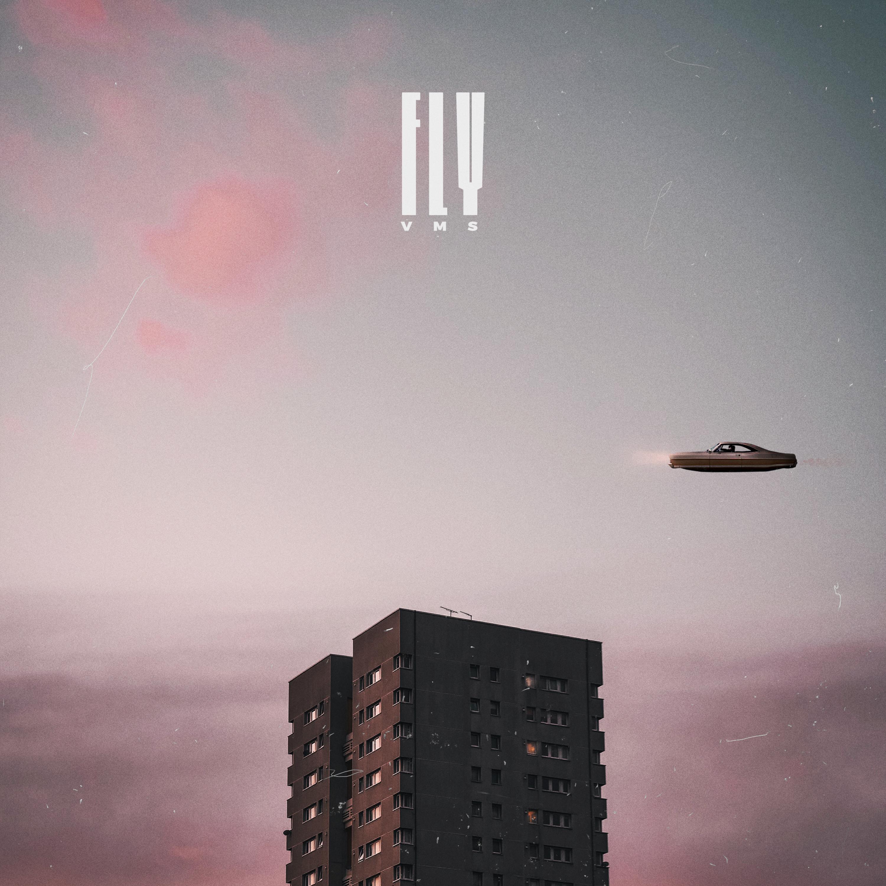 Fly