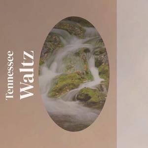Tennessee Waltz - Patti Page (SC karaoke) 带和声伴奏 （降8半音）