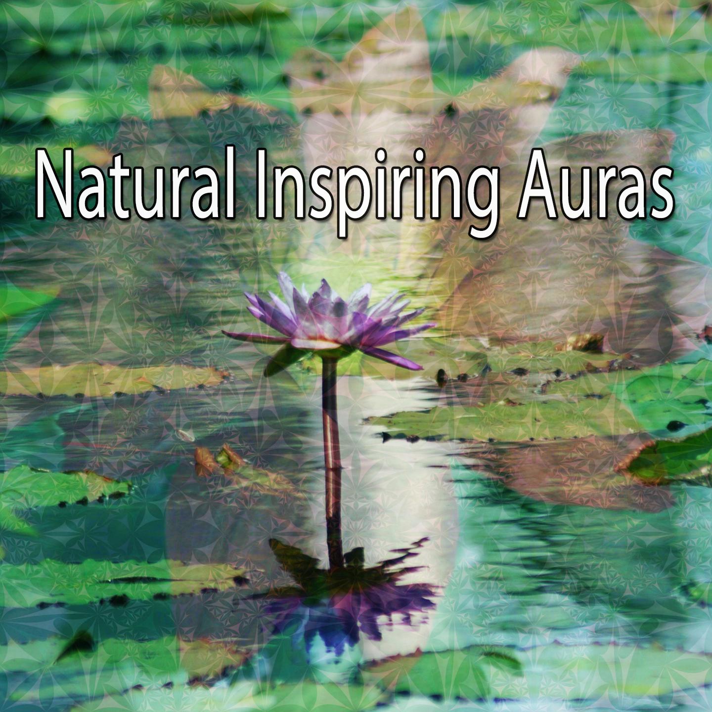 Natural Inspiring Auras专辑