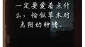 一定要爱着点什么，恰似草木对光阴的钟情。专辑