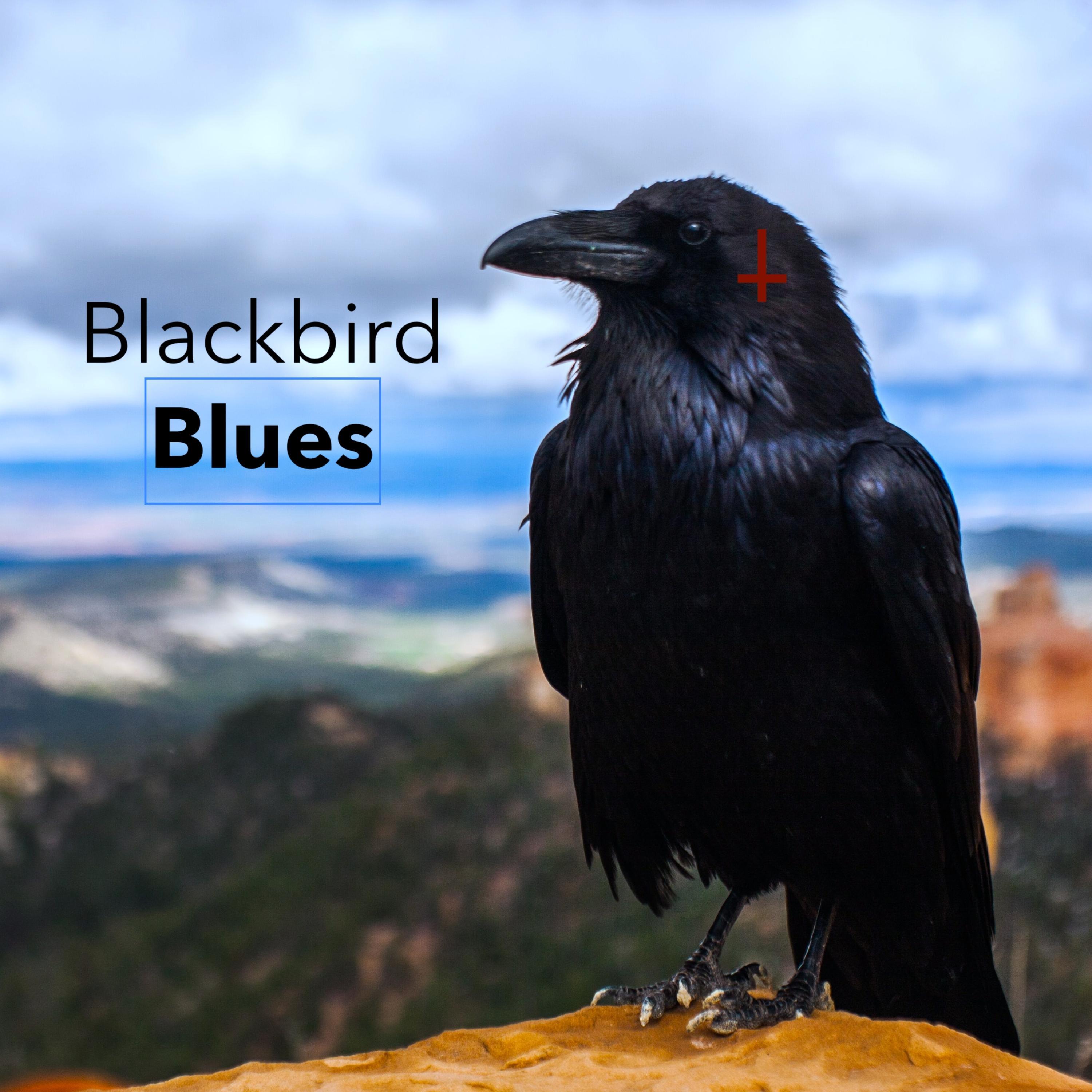 Blackbird Blues