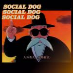 Social dog专辑