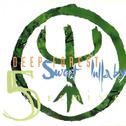 Sweet Lullaby (5 Remixes)专辑