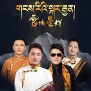 雪域星辉