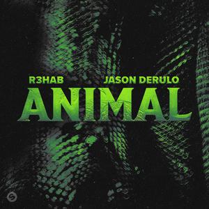 R3HAB & Jason Derulo - Animal (Pre-V) 带和声伴奏 （降4半音）
