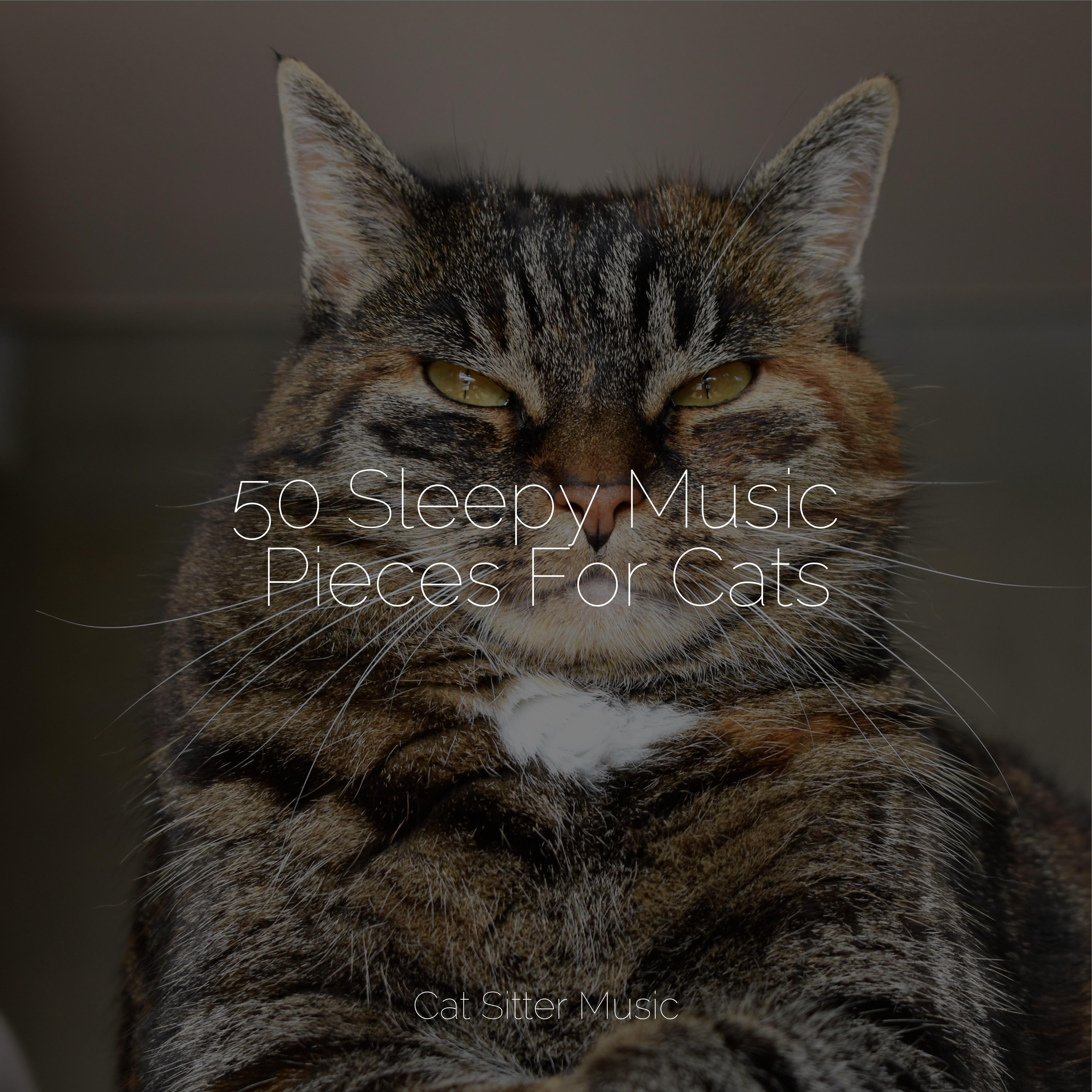 Music for Cats TA - Floating on Air