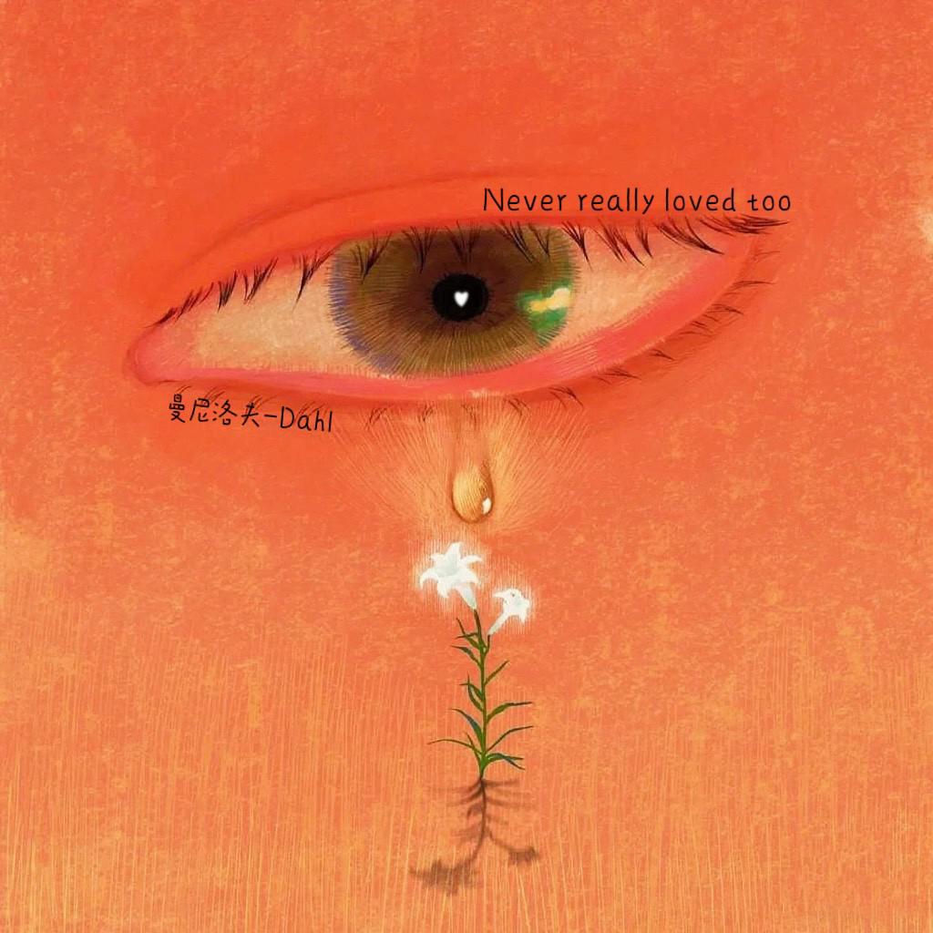 never really loved too