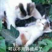 百听不厌节奏感强的音乐（随缘更新）