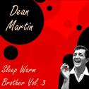 Sleep Warm Brother Vol.  3专辑