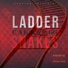 Cal3 - Ladder & Snakes