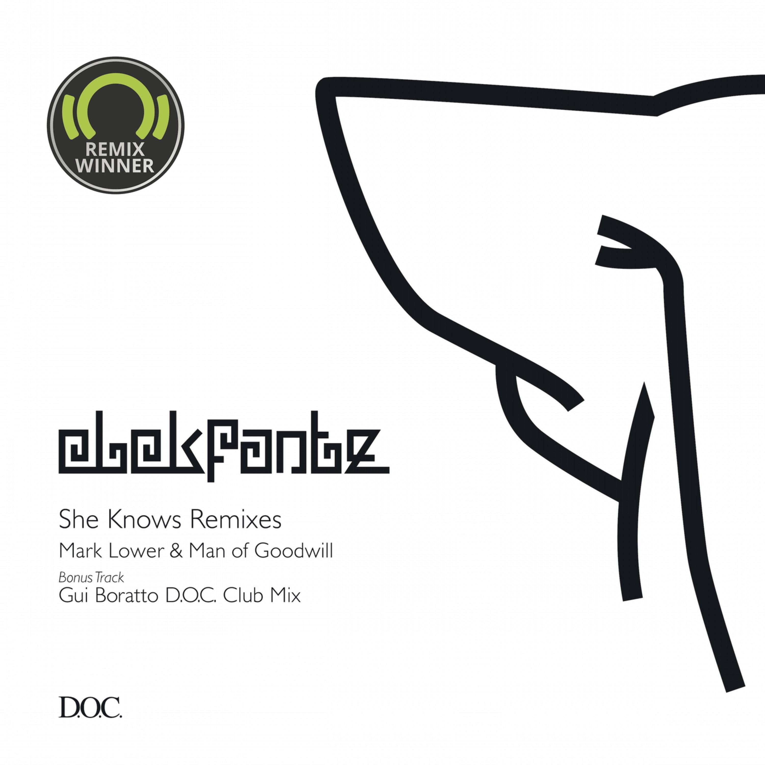 Elekfantz - She Knows (Gui Boratto D.O.C. Club Mix)