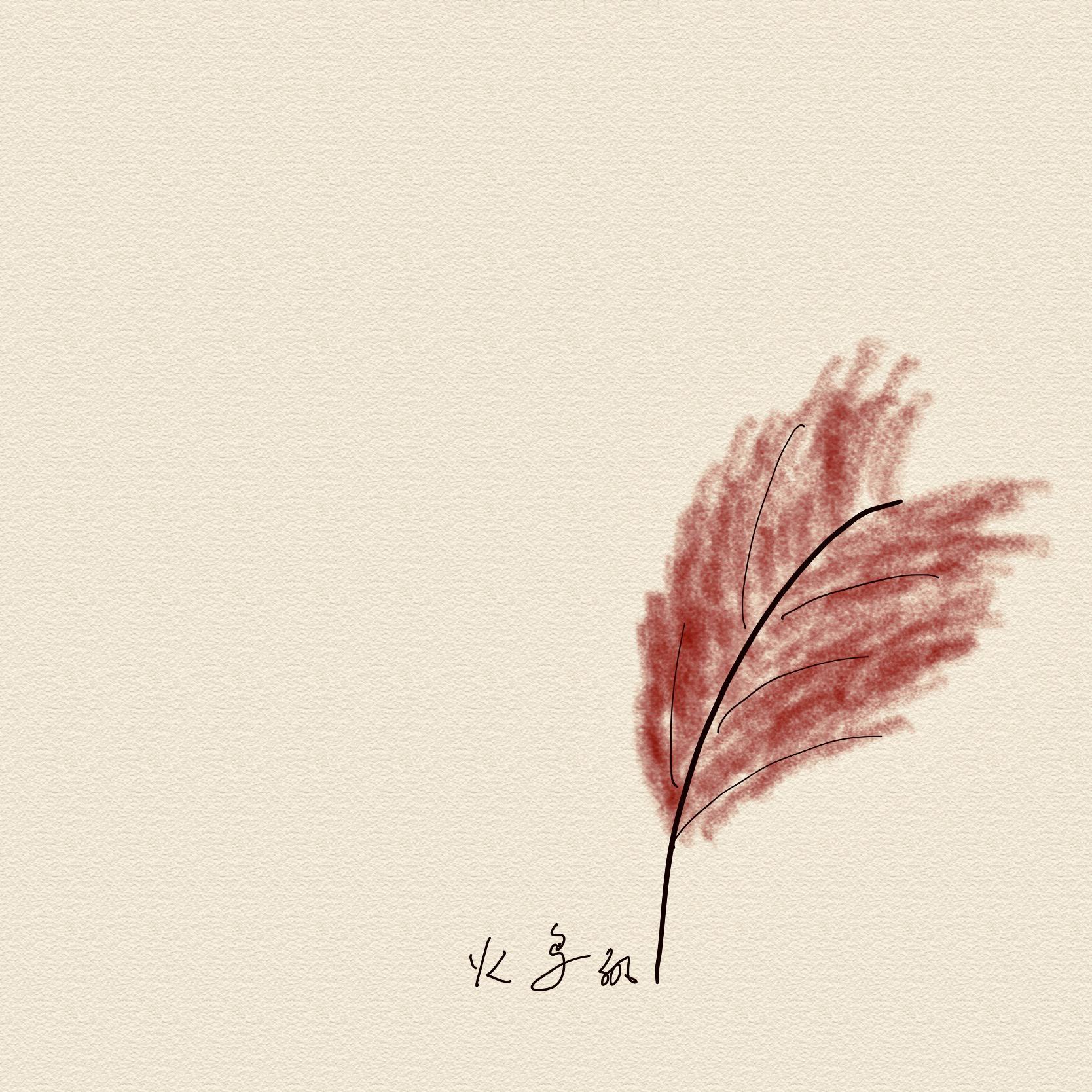 火鸟的羽毛