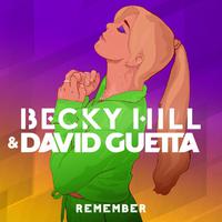 Becky Hill & David Guetta - Remember (Karaoke Version) 带和声伴奏