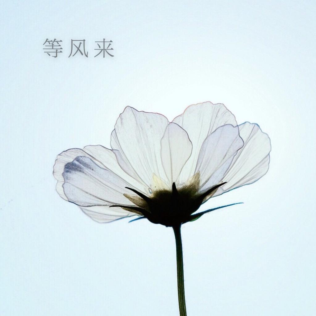 考验耳机的无损音乐