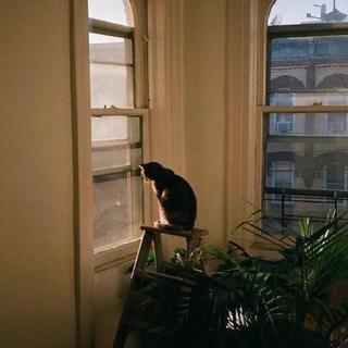 Acoustic | 一种全新的风格体验