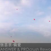 偏爱「ANSWER & PROcrush Rework」