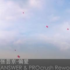 偏爱「ANSWER & PROcrush Rework」