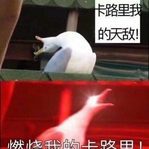 氛围鬼神_Kpop向
