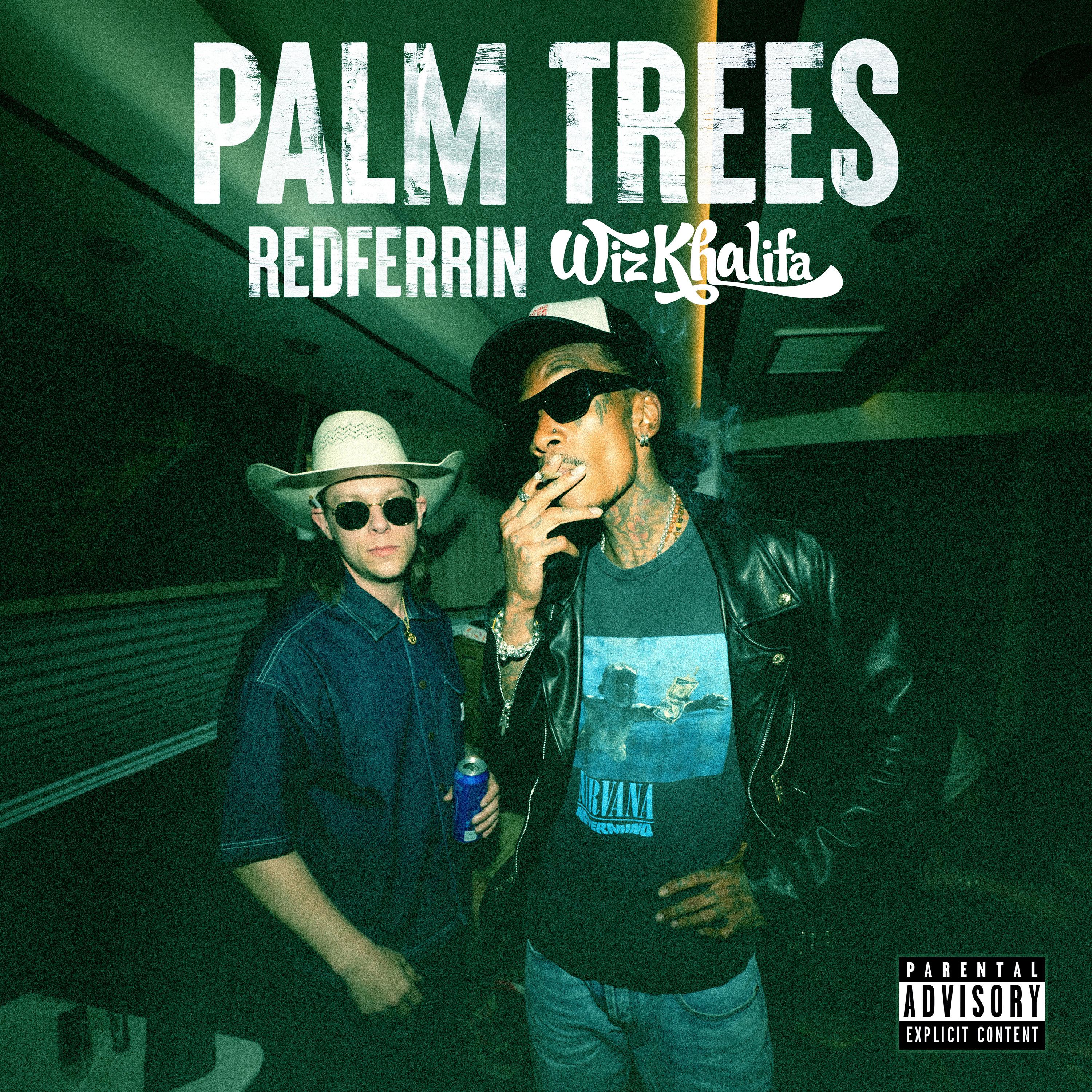 Palm Trees
