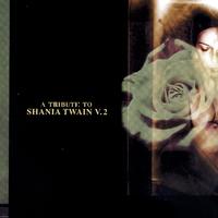 Shania Twain - Still Under The Weather (karaoke Version)